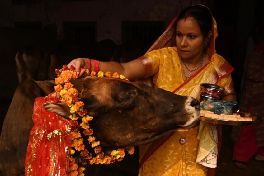 Cows are venerated as sacred by the country's Hindu majority, and their slaughter is illeg