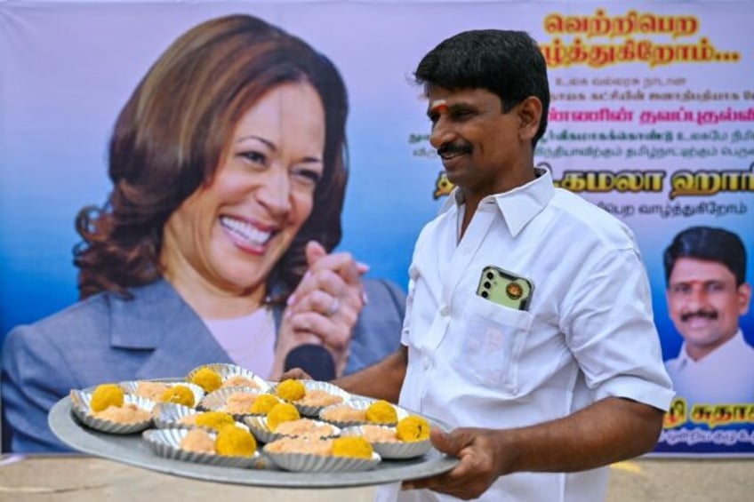 A picture of Kamala Harris stands in the US presidential candidate's ancestral Indian vill