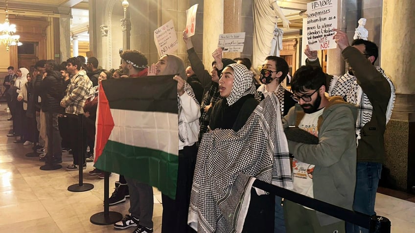 Pro-Palestinian protesters