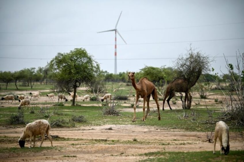 The deserts around Jaisalmer district are dotted with hundreds of turbines, one of India's