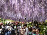 Inflation, hotel prices curtail Japanese ‘Golden Week’ travels