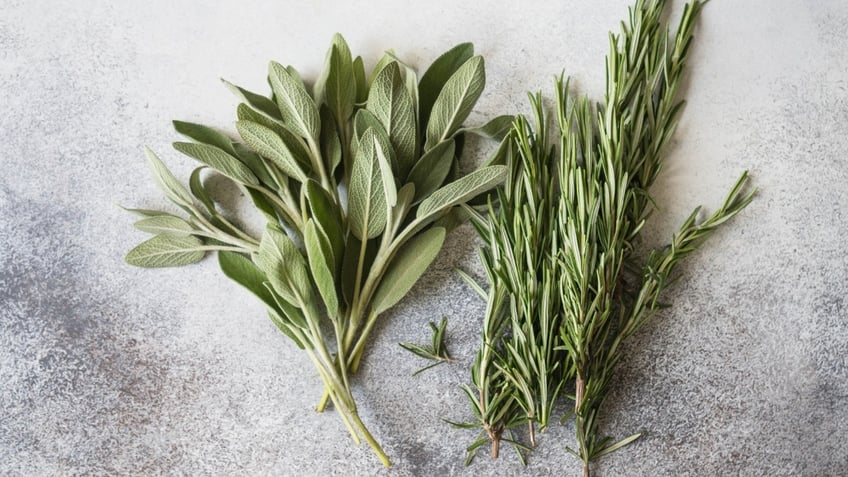 A bunch of fresh sage and rosemary