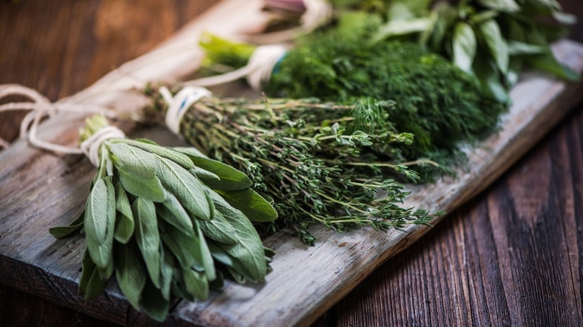 Sage and rosemary on display