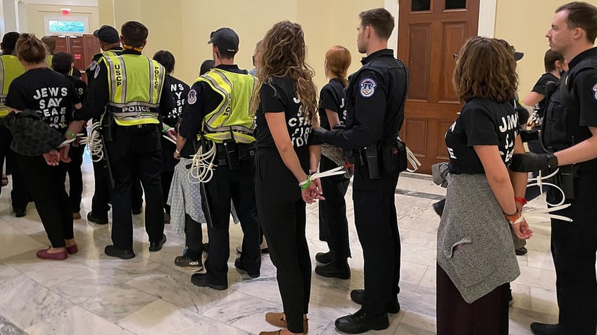 inside the chaos on capitol hill as hundreds of pro palestinian jews arrested a moral catastrophe