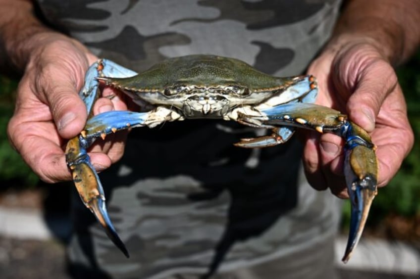 invasive species a growing and costly threat key report to find