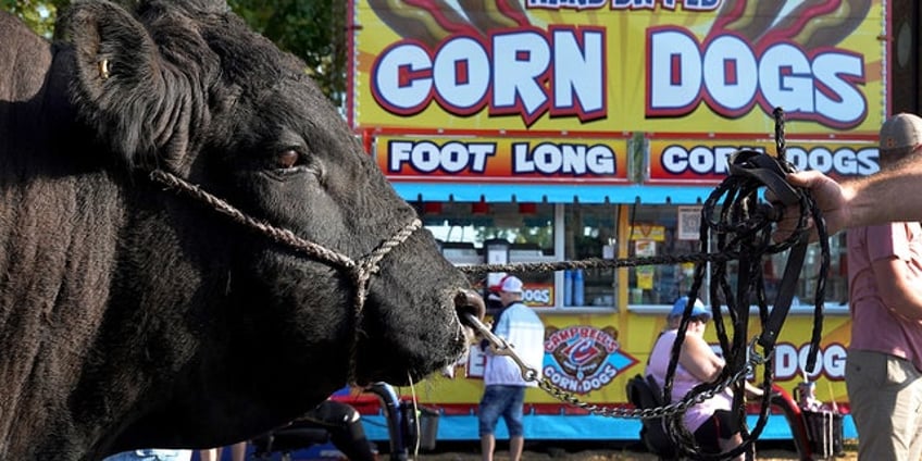 iowa state fair marks pivotal step for 2024 gop hopefuls trump confirms attendance but snubs reynolds chats