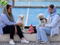 Iran Expands Ban on Walking Dogs as ‘Threat to Public Health, Peace, and Comfort’