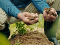 Irish farmer finds near 60-pound slab of ancient bog butter on his land by ‘pure luck’