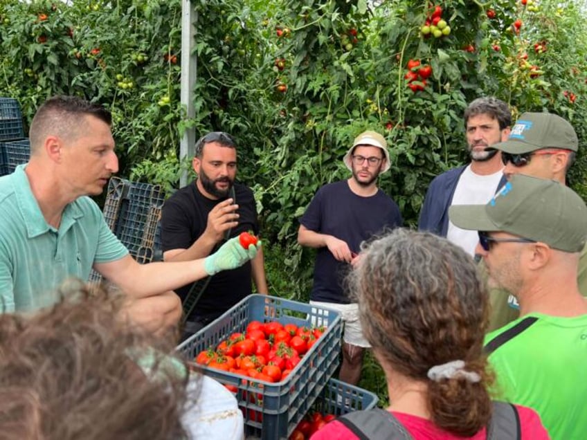 israeli volunteers save crops near gaza communities devastated by terror