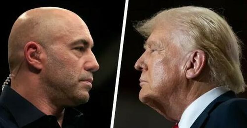 it will happen elon musk predicts joe rogan will interview donald trump