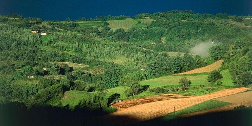 italian police scour forest in search of dutchman who was accused of fatally stabbing his father