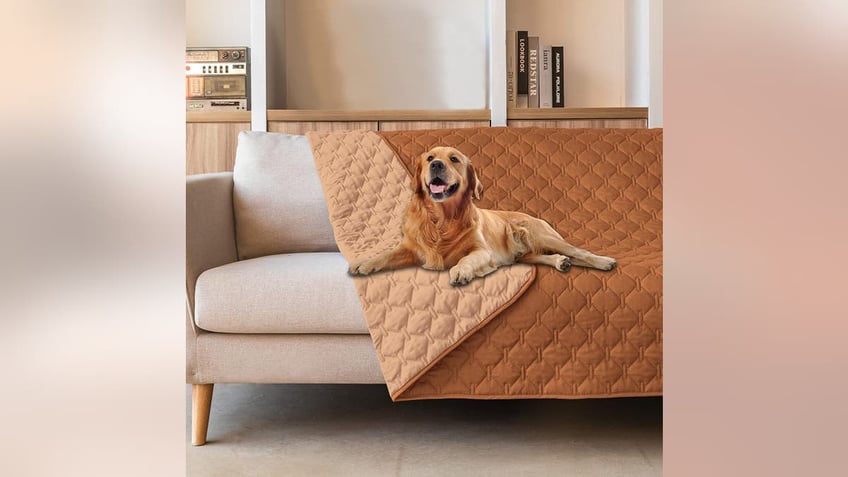 Keep your furniture mud-free with a dog blanket.