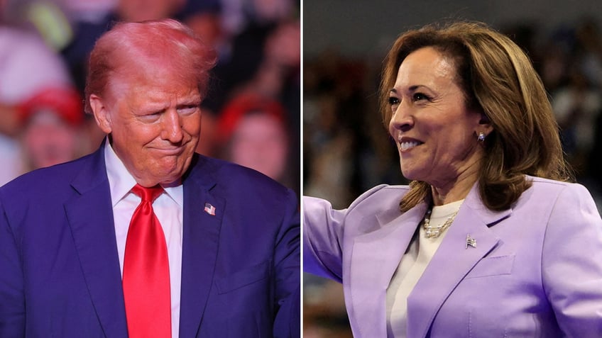 Trump Harris split photo