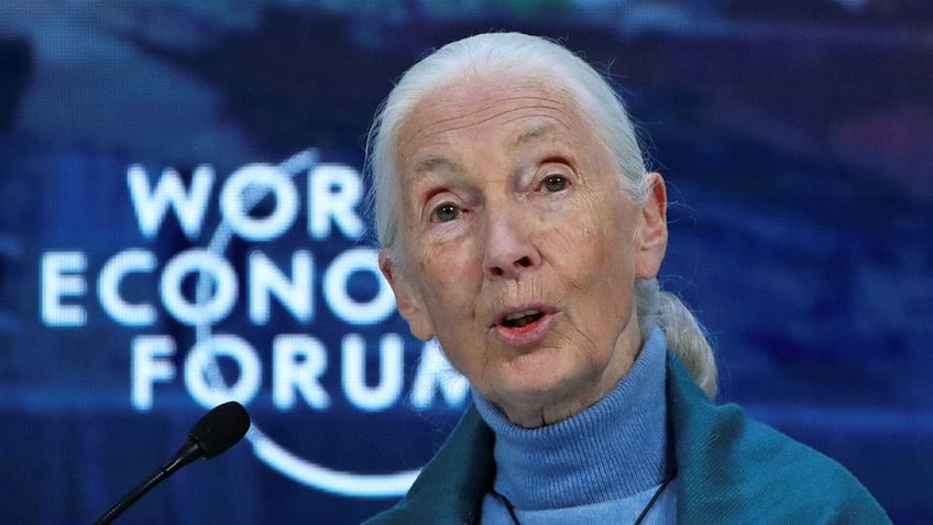 Jane Goodall