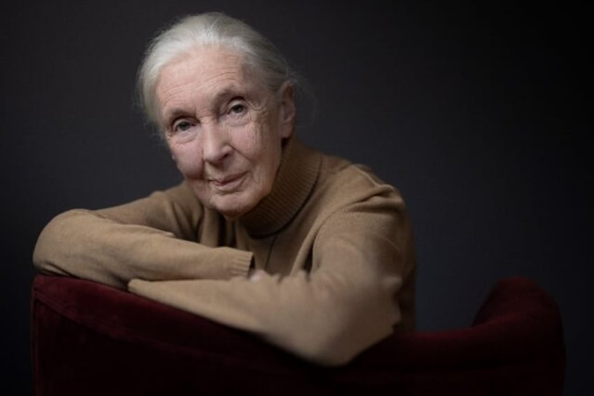 'The time for words and false promises is past,' Jane Goodall told AFP