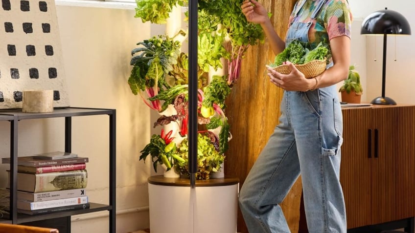 Grow your garden indoor with this gadget.