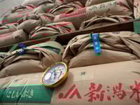 Japan core inflation tops forecasts as rice prices almost double