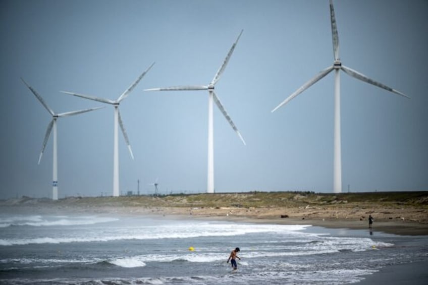 Resource-poor Japan 'will aim to maximise the use of renewable energy'