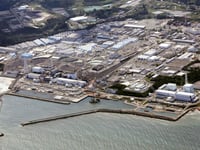 Japan to use slightly radioactive soil from Fukushima on flowerbeds at prime minister’s office
