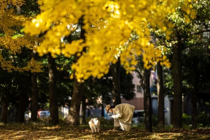 Japan's hottest autumn on record has delayed the country's popular foliage season