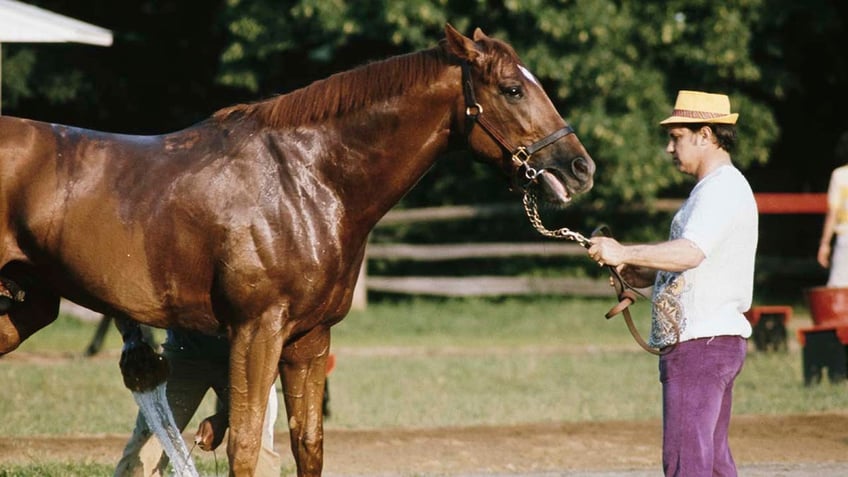 Secretariat groom washes the thoroughbred horse