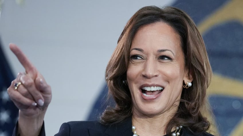 WAYNE, MICHIGAN - AUGUST 08: Democratic presidential candidate U.S. Vice President Kamala Harris speaks at a campaign rally at United Auto Workers Local 900 on August 8, 2024 in Wayne, Michigan. Kamala Harris and her newly selected running mate Tim Walz are campaigning across the country this week. (Photo by Andrew Harnik/Getty Images)