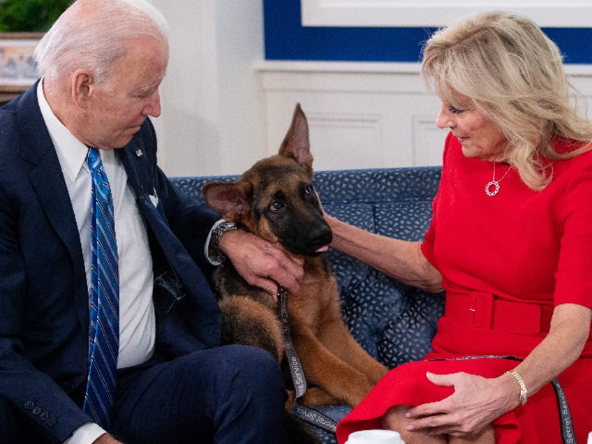 US President Joe Biden and US First Lady Jill Biden, look at their new dog Commander, after speaking virtually with military service members to thank them for their service and wish them a Merry Christmas, from the South Court Auditorium of the White House in Washington, DC, on December 25, …