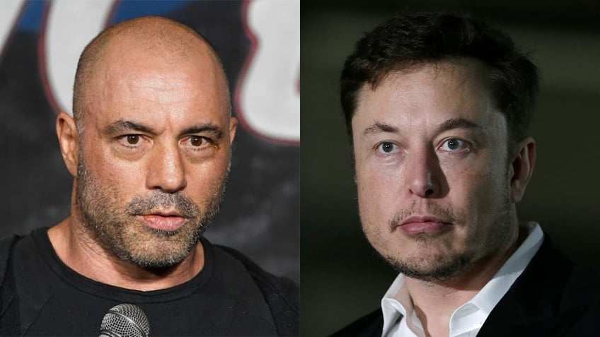 Musk Rogan split