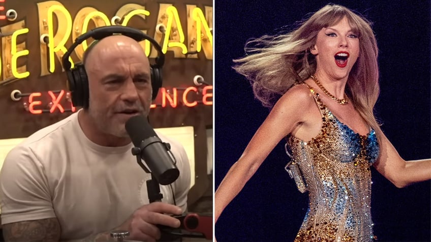 joe rogan explains women want a provider taylor swift is not going to marry a bartender