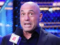 Joe Rogan says many in the entertainment industry had privately 'thanked me for endorsing Trump'