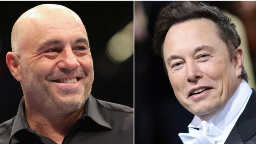 elon musk joe rogan msnbc