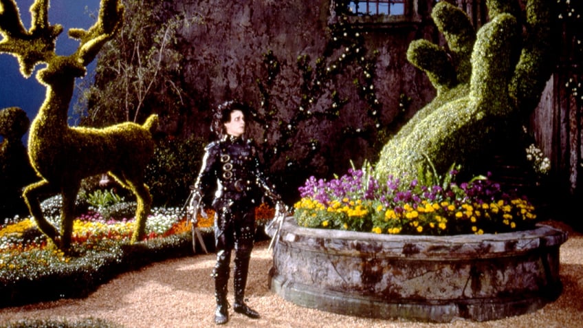 Edward Scissorhands in the garden