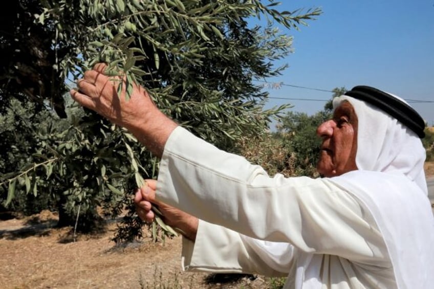 "These trees represent the history of Jordan," says Ali Salih Atta, 84