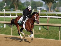 Journalism, Sovereignty to meet again in Belmont Stakes