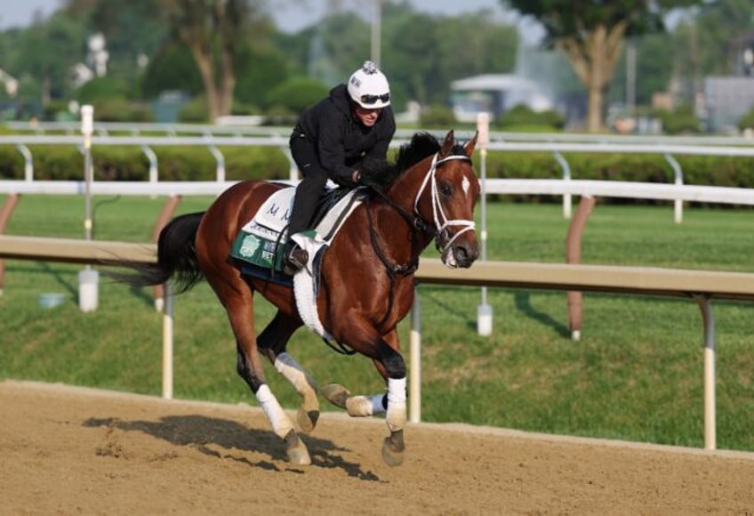 Preakness winner Journalism trains on in preparation for the 157th Belmont Stakes at Sarat