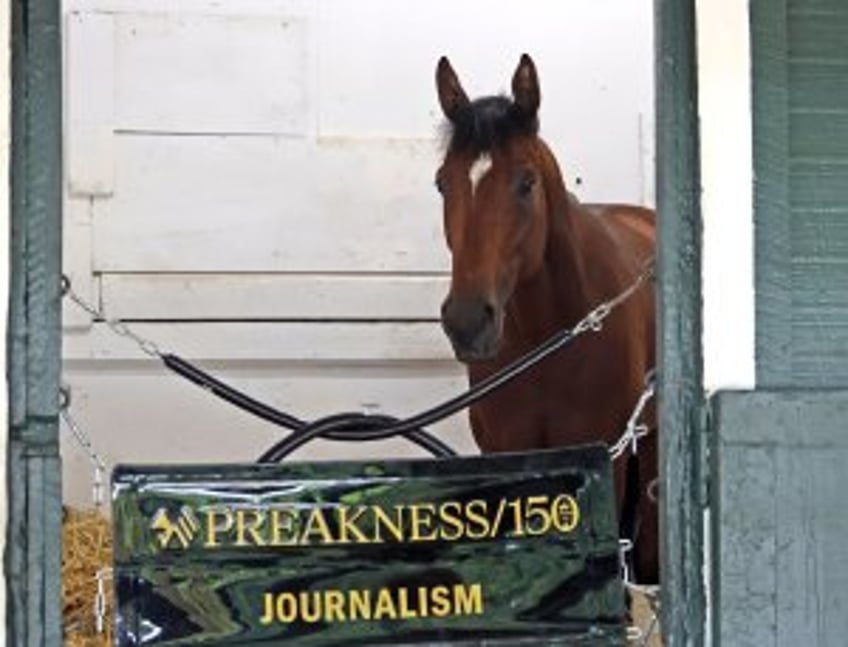 Journalism wins rough-run Preakness Stakes