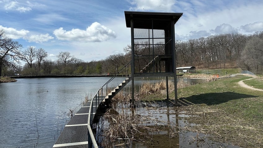 Greenwood Pond art installation