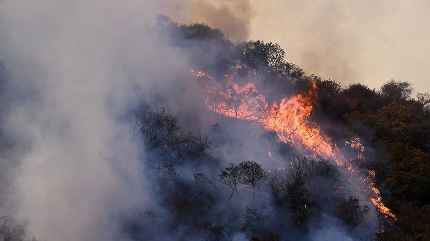 Brentwood, California fiery brush