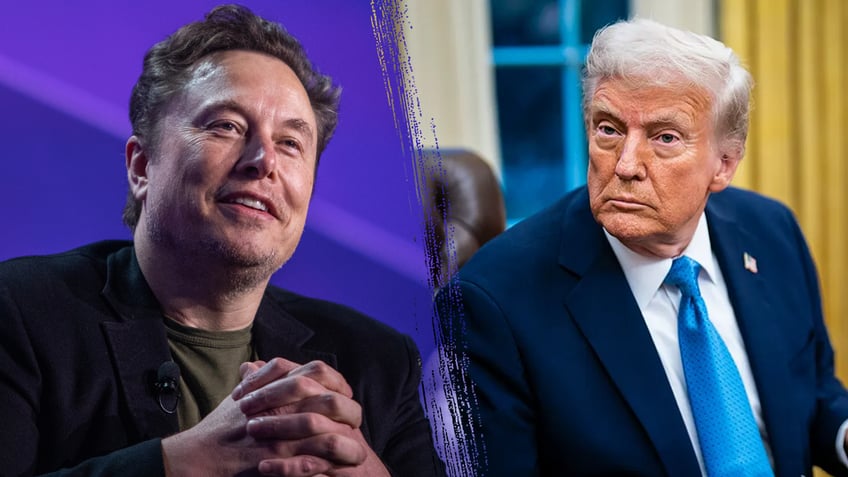 Elon Musk and Donald Trump