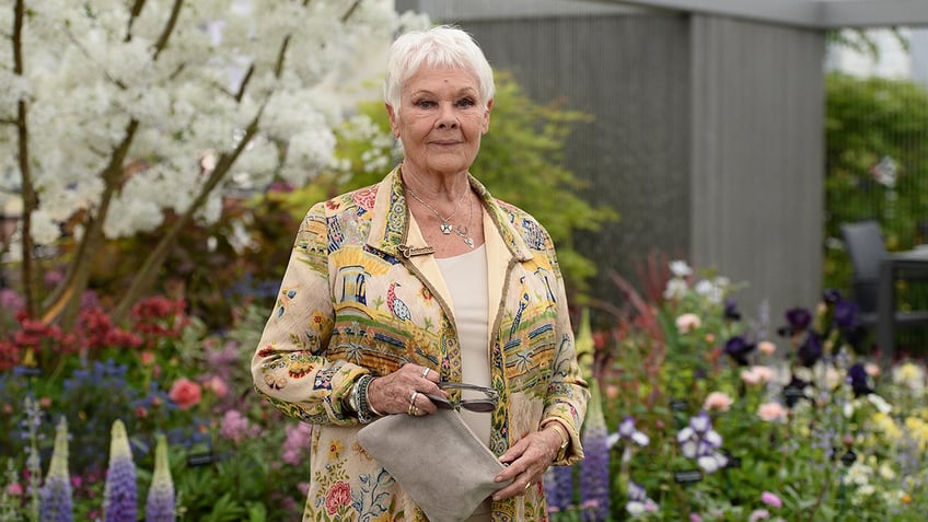 judi dench accidentally delivered a nude birthday facetime message