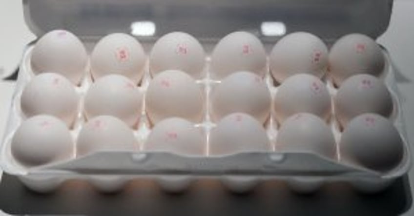 Justice Department investigates record egg prices, corporate profit