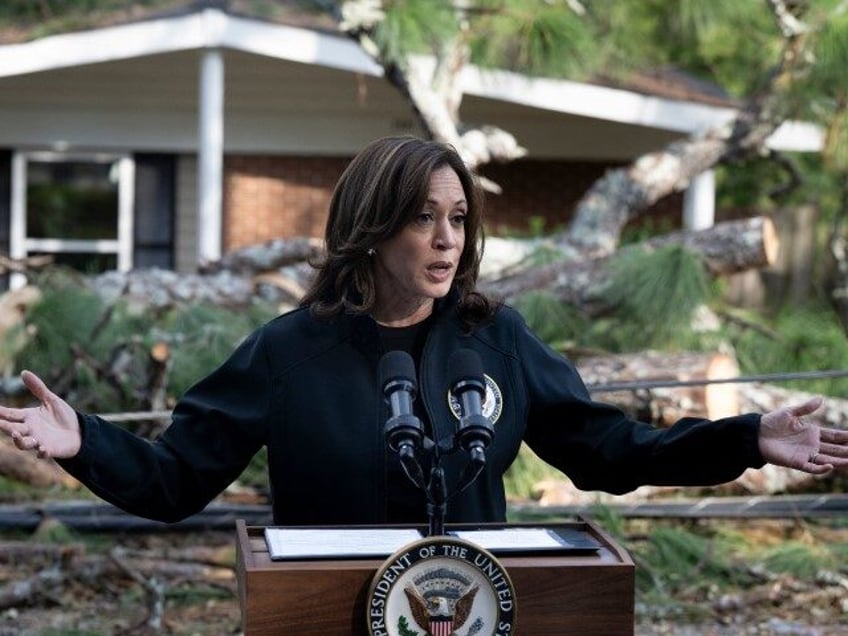 US Vice President Kamala Harris speaks after she surveyed the damage from Hurricane Helene