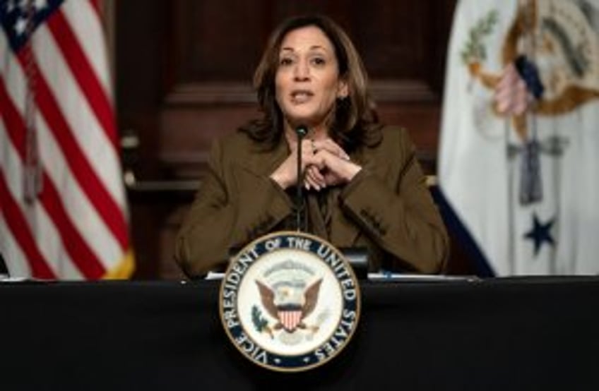 Kamala Harris announces plans to boost voting access