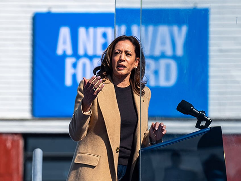 Vice President Kamala Harris speaks during a campaign rally at Throwback Brewery in North Hampton, N.H. (Photo by Kylie Cooper for The Washington Post via Getty Images)