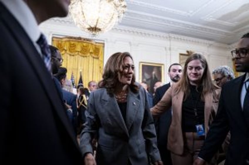 Kamala Harris' campaign releases agenda to support Black men