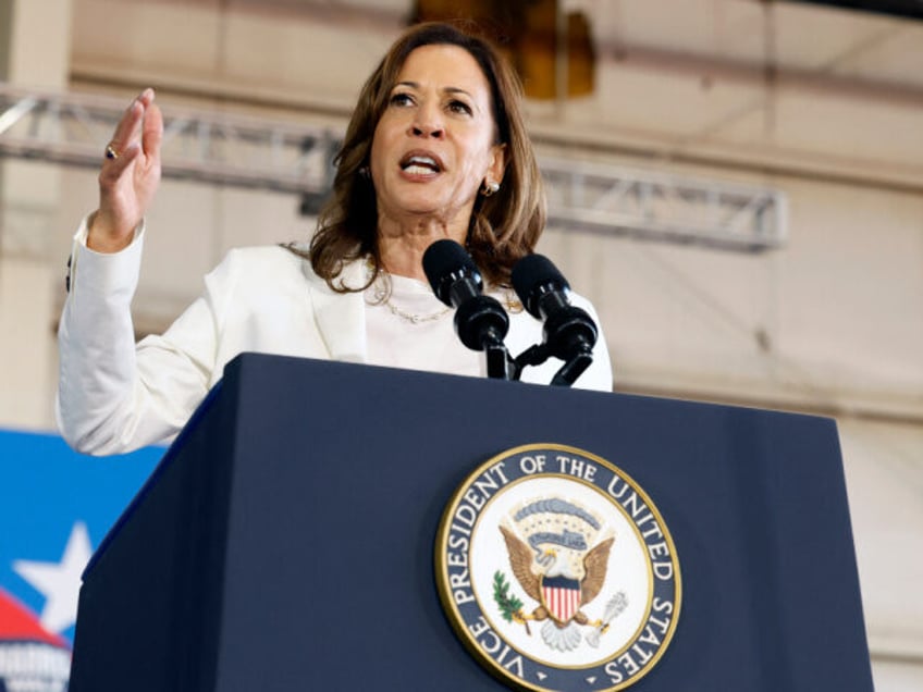 TOPSHOT - US Vice President and Democratic presidential candidate Kamala Harris speaks dur