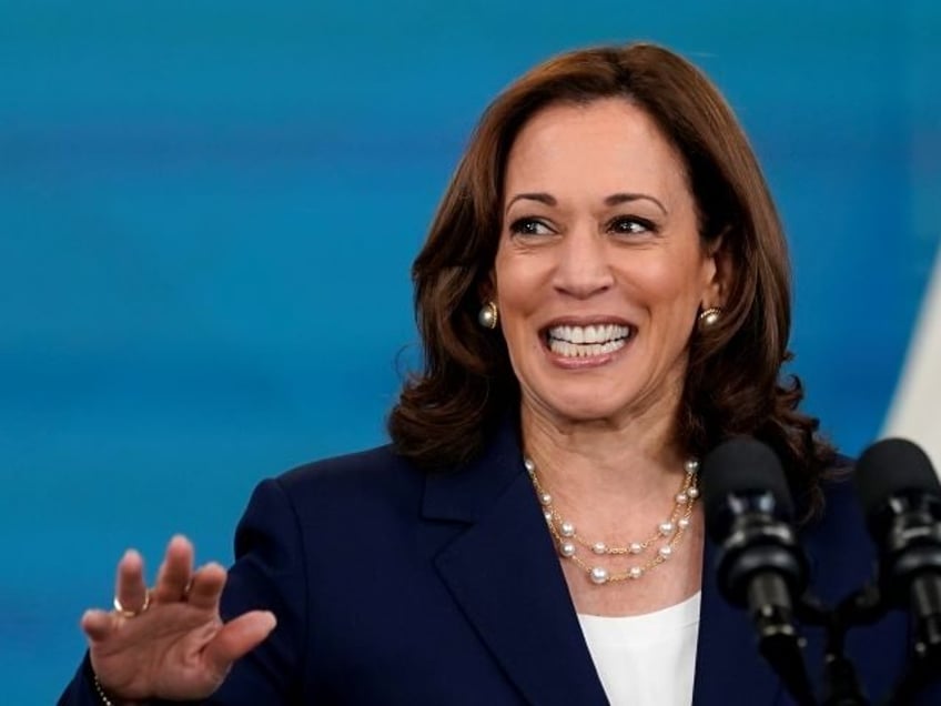 kamala harris flaunts her gas stove as democrats contemplate total bans