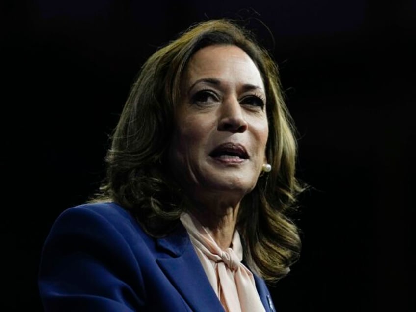 Democratic presidential nominee Vice President Kamala Harris speaks at a campaign rally in