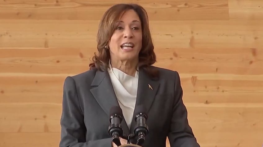 kamala harris has rabbit ears for any hint of criticism frustrating biden white house book