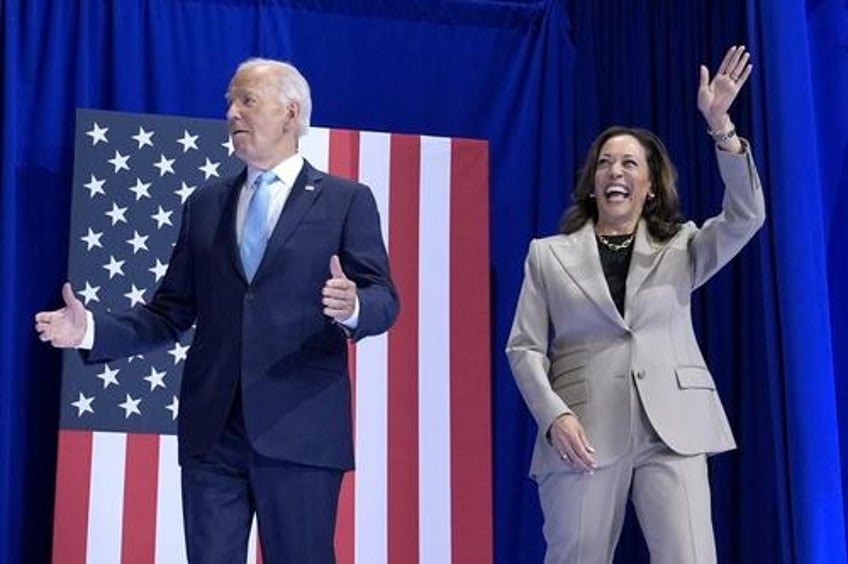 kamala harris is but a cog in the democrats machine